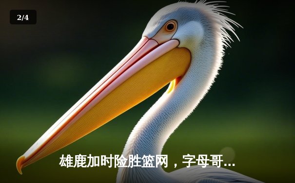 雄鹿加时险胜篮网，字母哥44分14篮板引领逆转 - 2