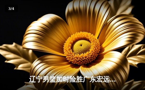 辽宁男篮加时险胜广东宏远，赵继伟35分导演惊天逆转 - 3